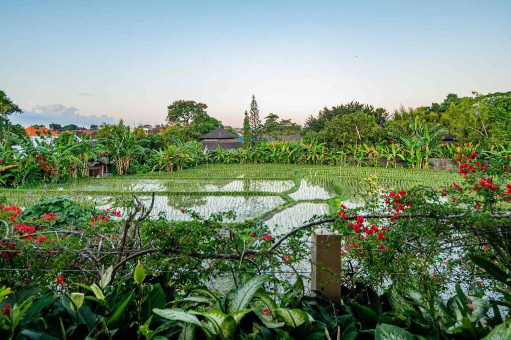Villa Mimpi Nyata Canggu (Bali) Exterior photo