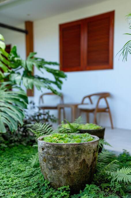 Villa Mimpi Nyata Canggu (Bali) Exterior photo